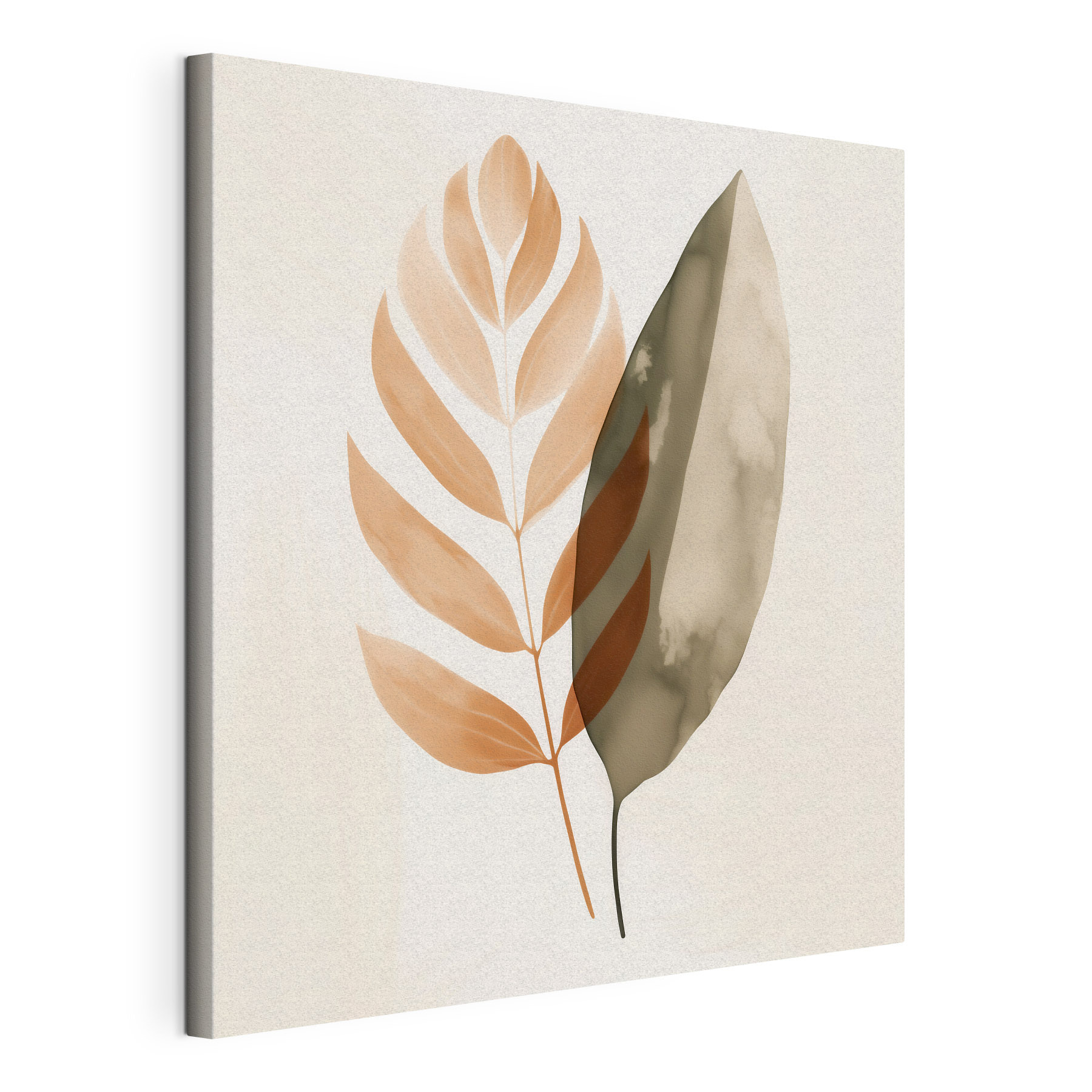 Elegant leaves on a soft background Elegant leaves on a soft background