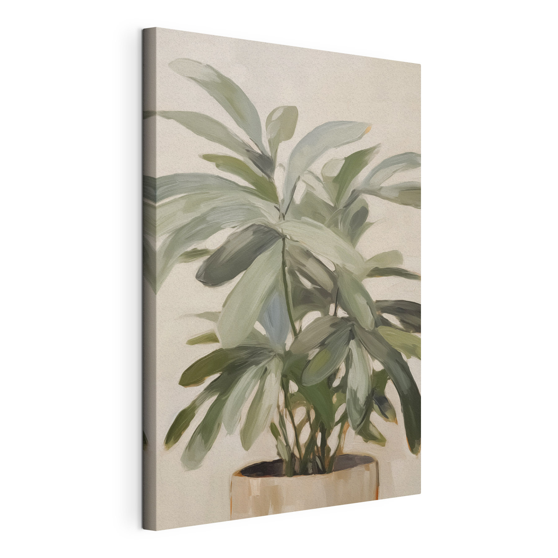 Plant with leaves on it Plant with leaves on it