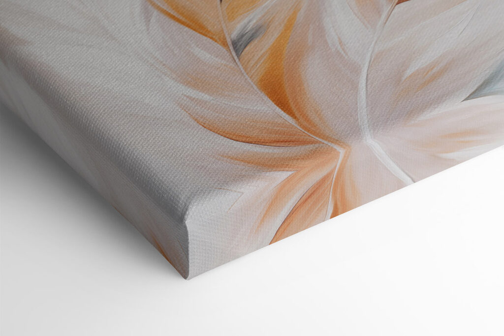 Soft feathers in warm hues blending