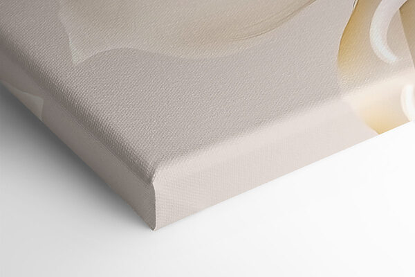 Delicate petals in soft hues