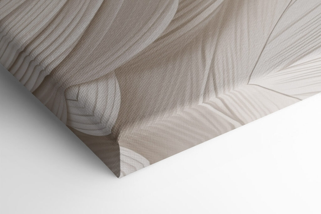 Soft curves, gentle texture, calm vibes