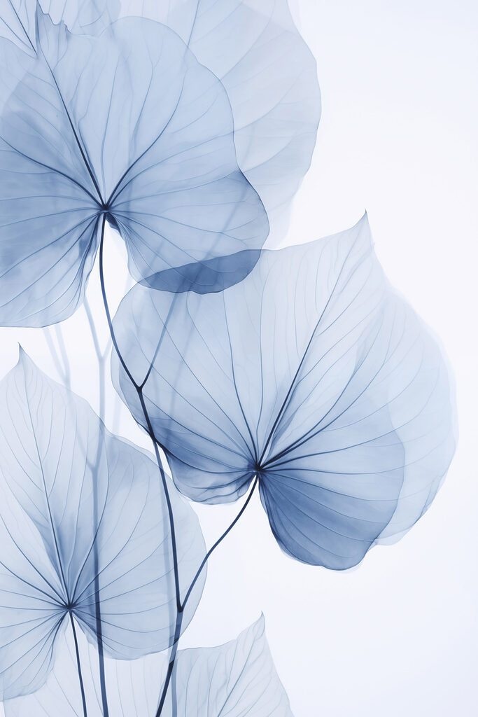 Delicate blue leaves on pale background