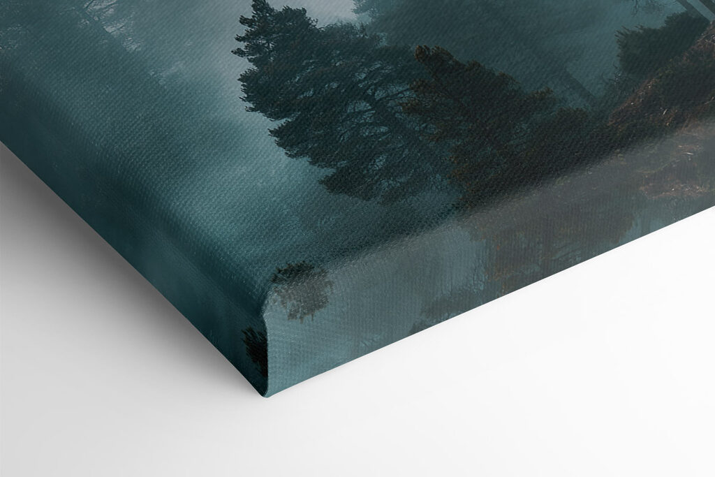 Foggy forest with trees Foggy forest with trees