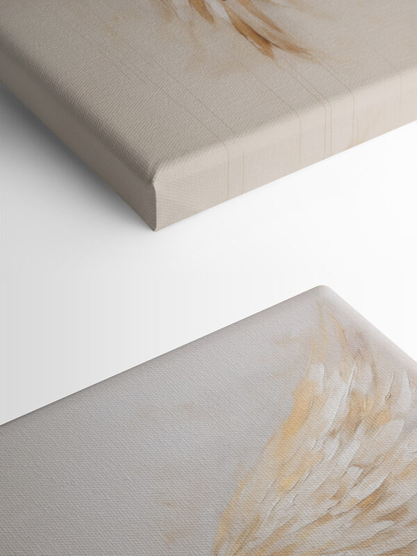 Ethereal wings in soft hues