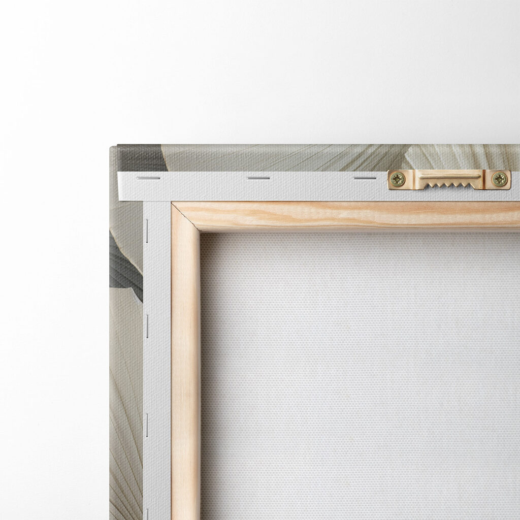 Group of white fan shaped leaves Group of white fan shaped leaves