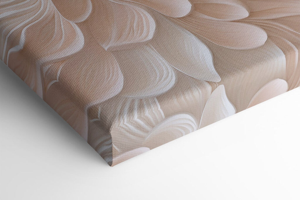 White and pink flower petals