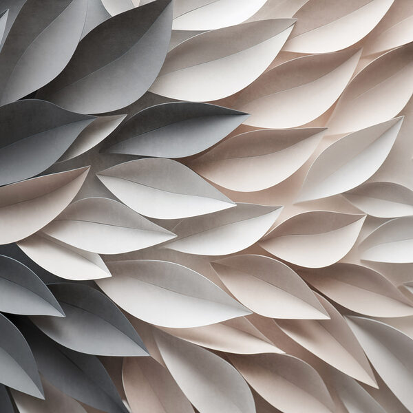 Gentle curves in soft colors Gentle curves in soft colors
