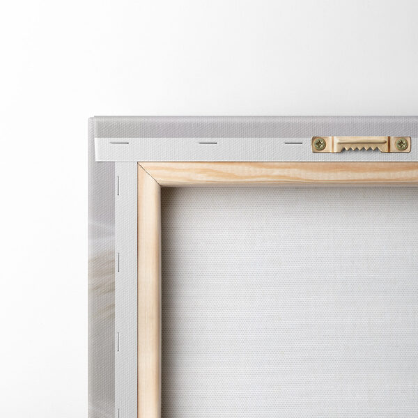 Soft, airy grasses in gentle hues