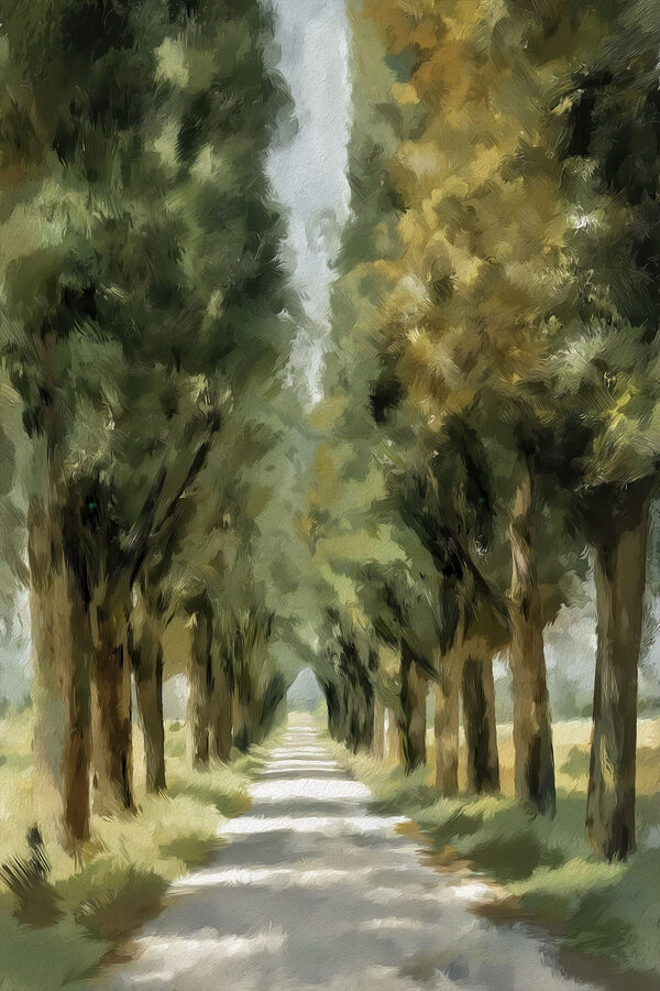 Road lined with trees