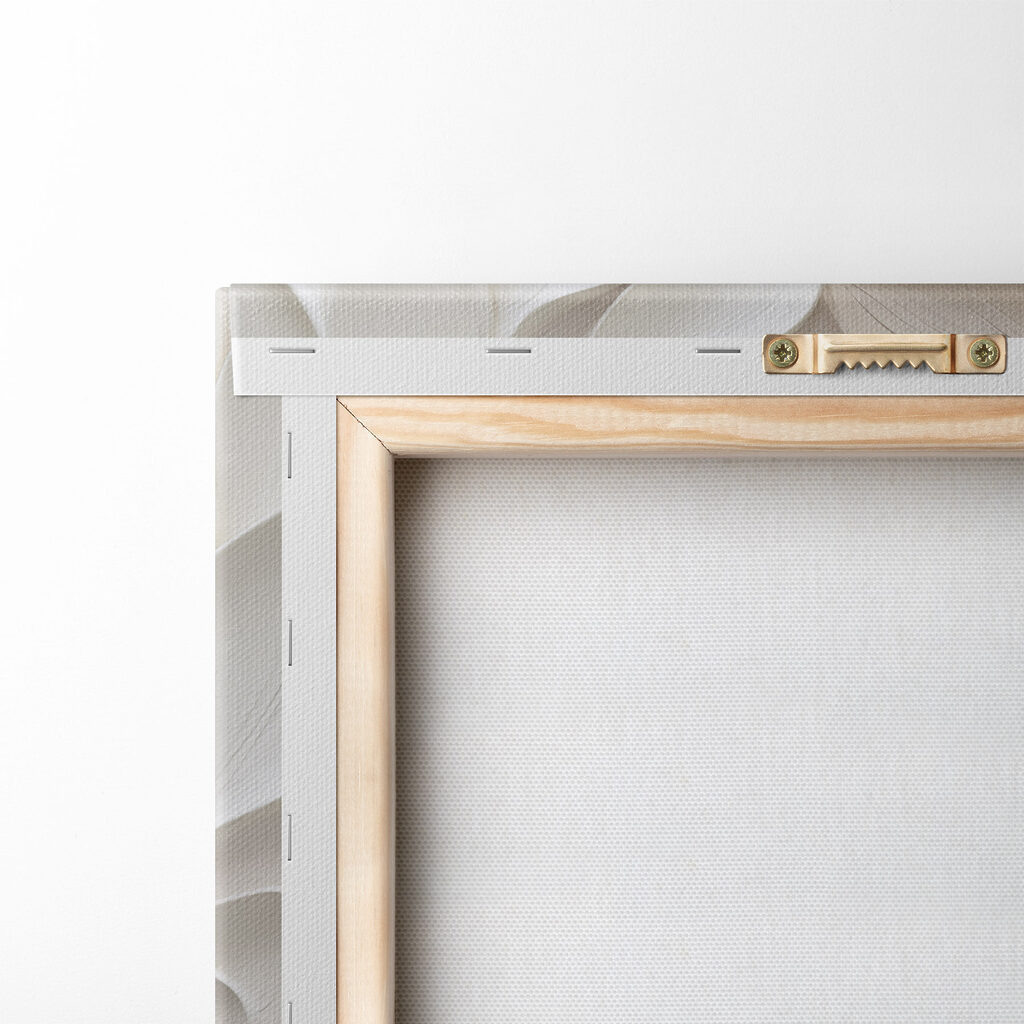 Soft, flowing shapes in subtle hues