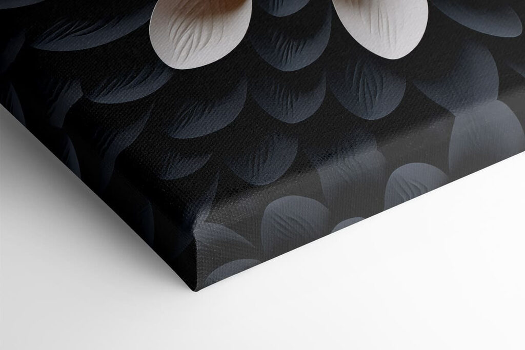 Elegant design in contrasting colors Elegant design in contrasting colors