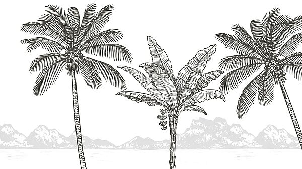 Palm trees and a beach Palm trees and a beach