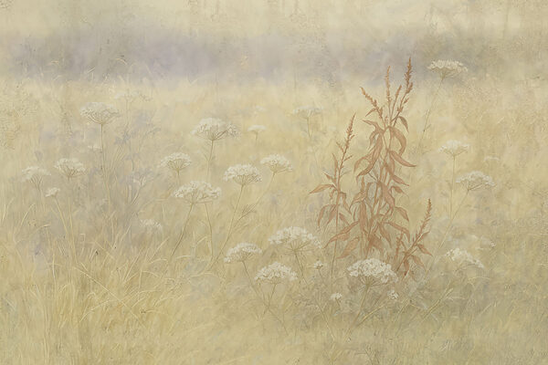 Field of flowers and grass