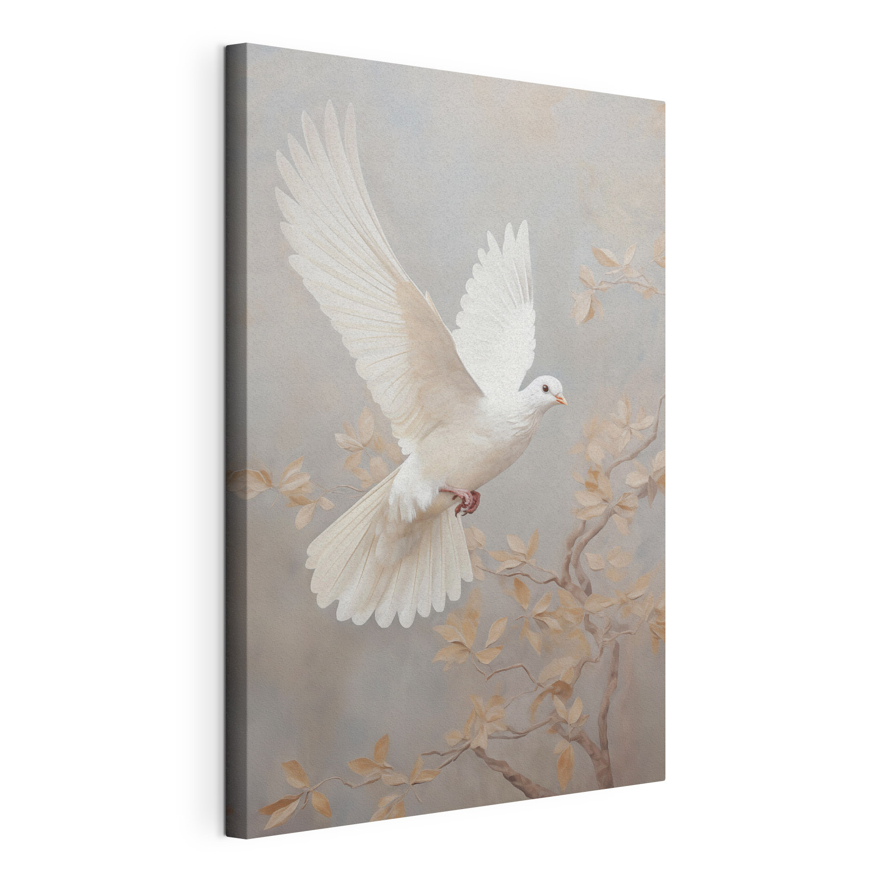 White dove flying in the air