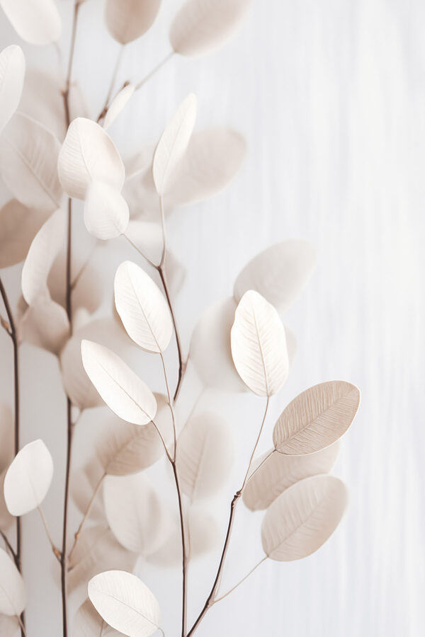 Delicate leaves against a soft background Delicate leaves against a soft background