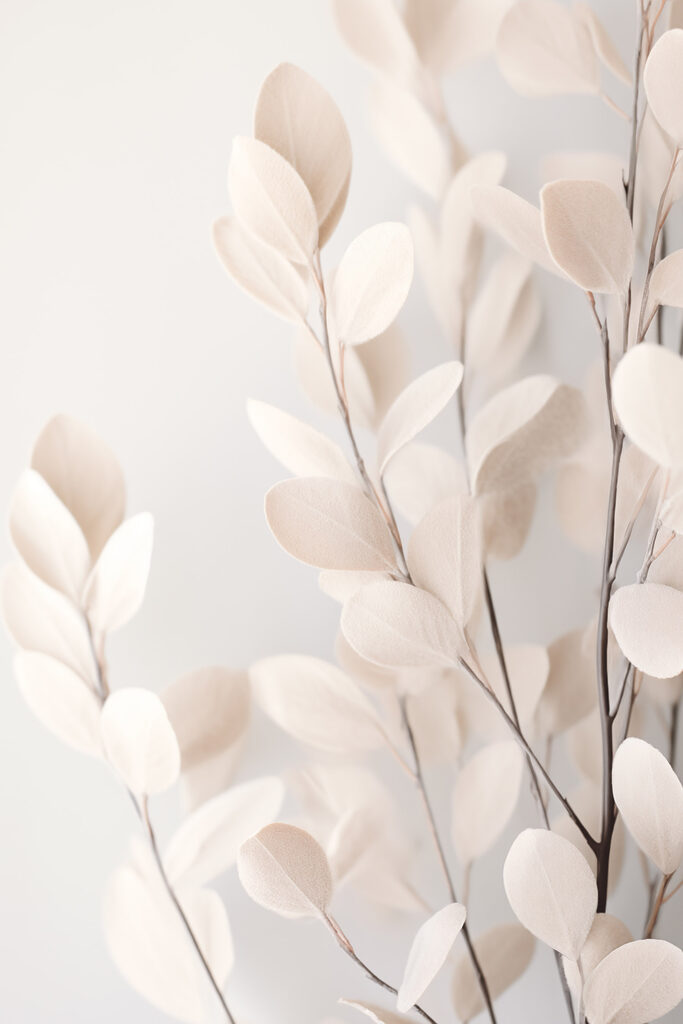 Delicate leaves against a soft background Delicate leaves against a soft background