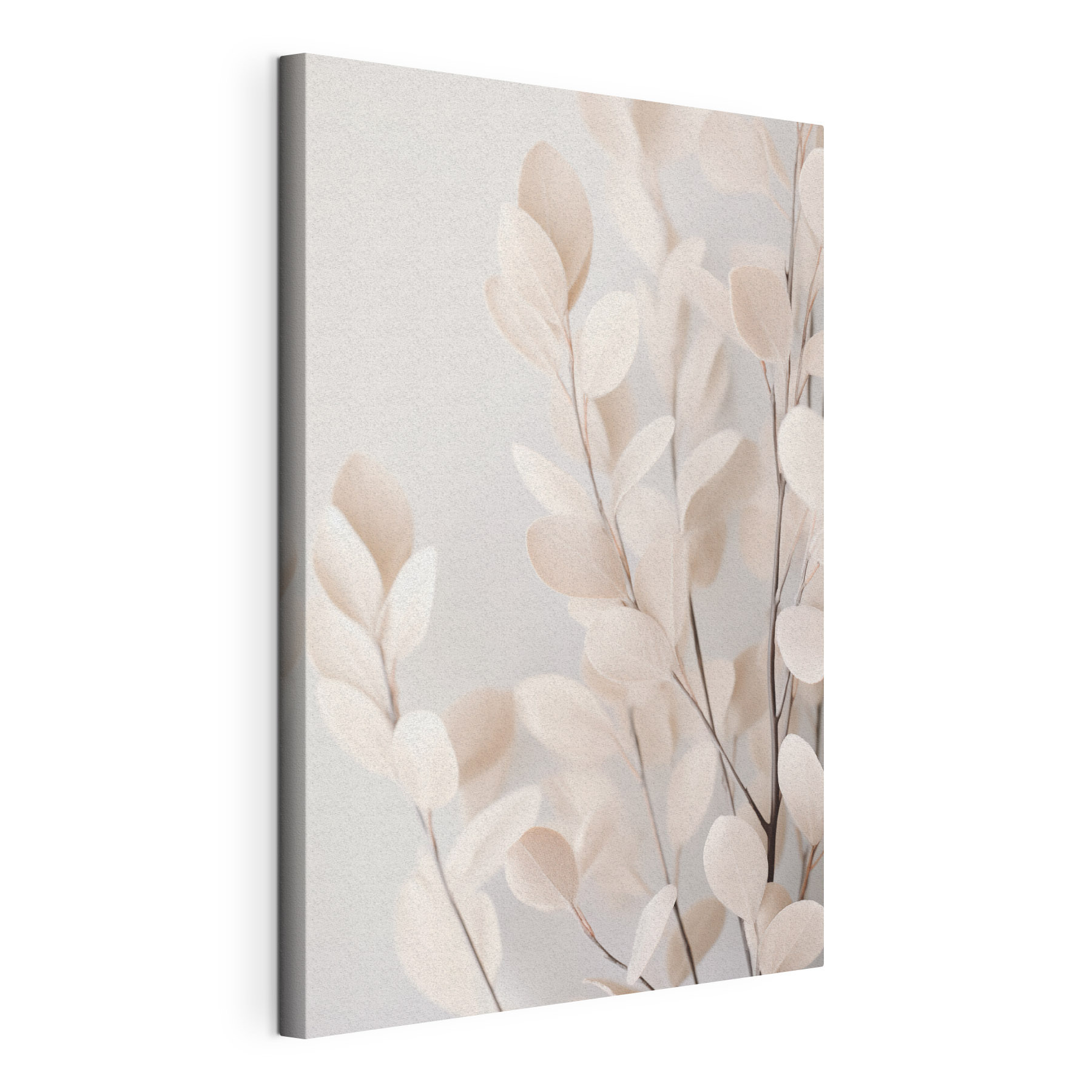 Delicate leaves against a soft background Delicate leaves against a soft background