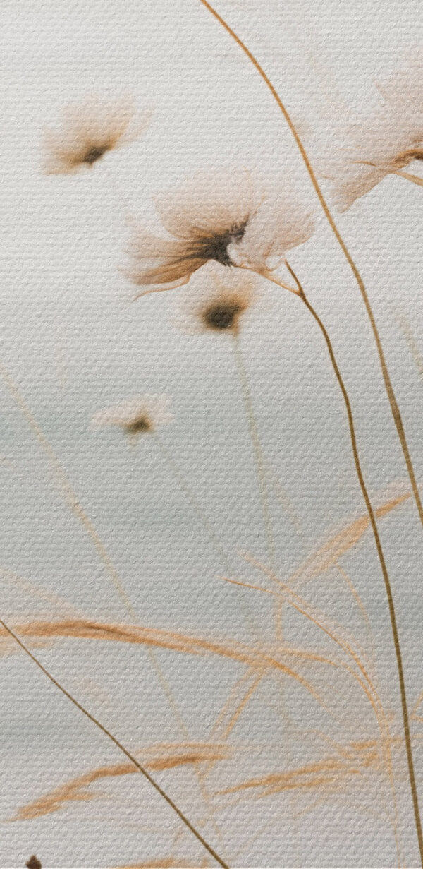 Gentle breeze through tall grasses Gentle breeze through tall grasses