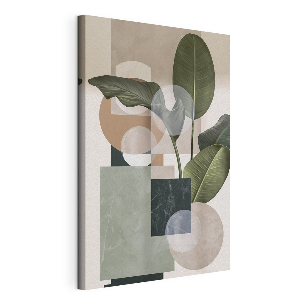 Plant with leaves and geometric shapes Plant with leaves and geometric shapes