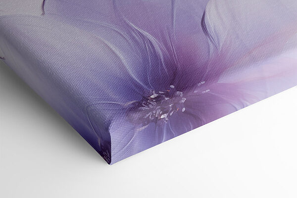 Delicate petals in soft hues