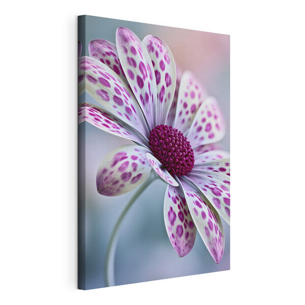 Elegant flower with vibrant patterns Elegant flower with vibrant patterns