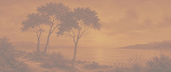 Trees on a hill by the water
