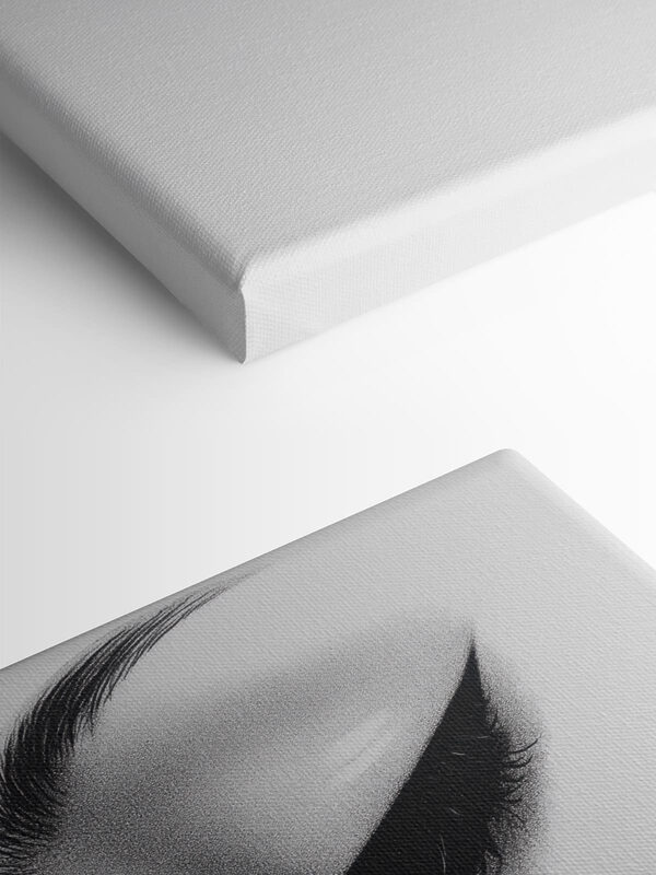 Elegant profile in monochrome shades