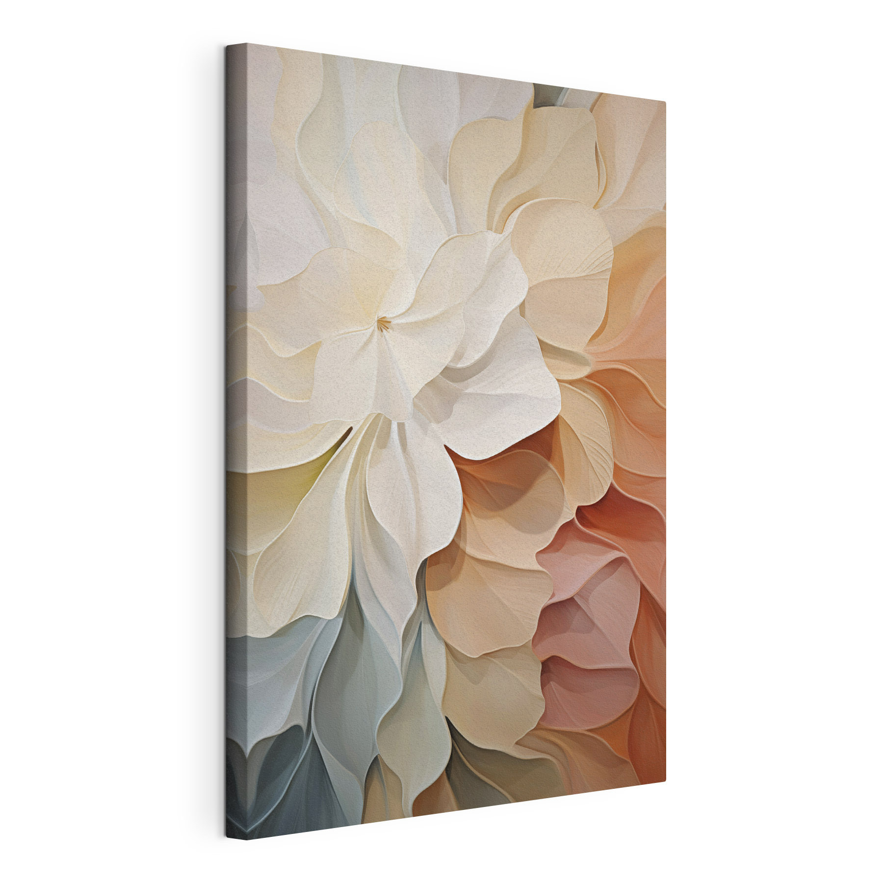 Soft petals in gentle hues