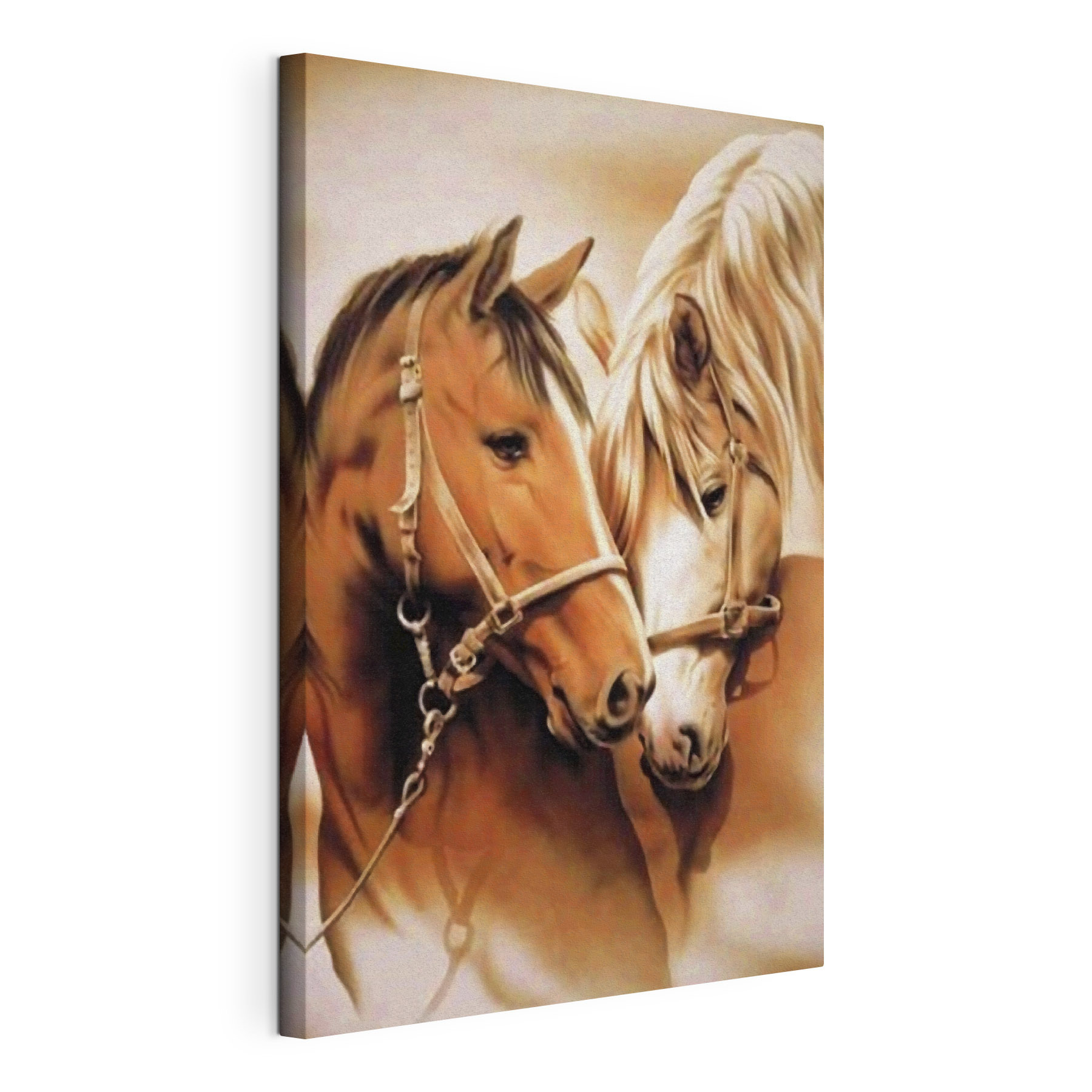 Two horses sharing a gentle moment