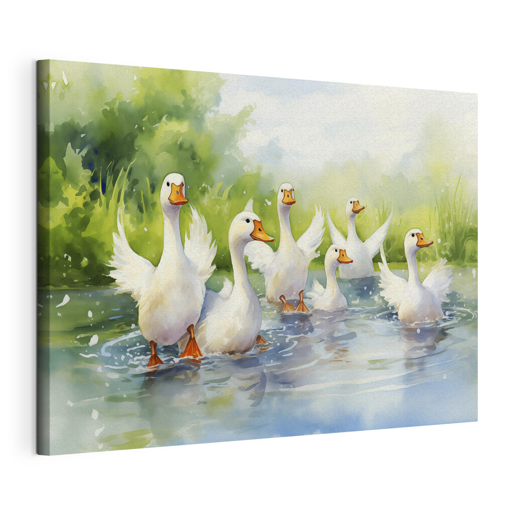 Group of white ducks swimming in water Group of white ducks swimming in water