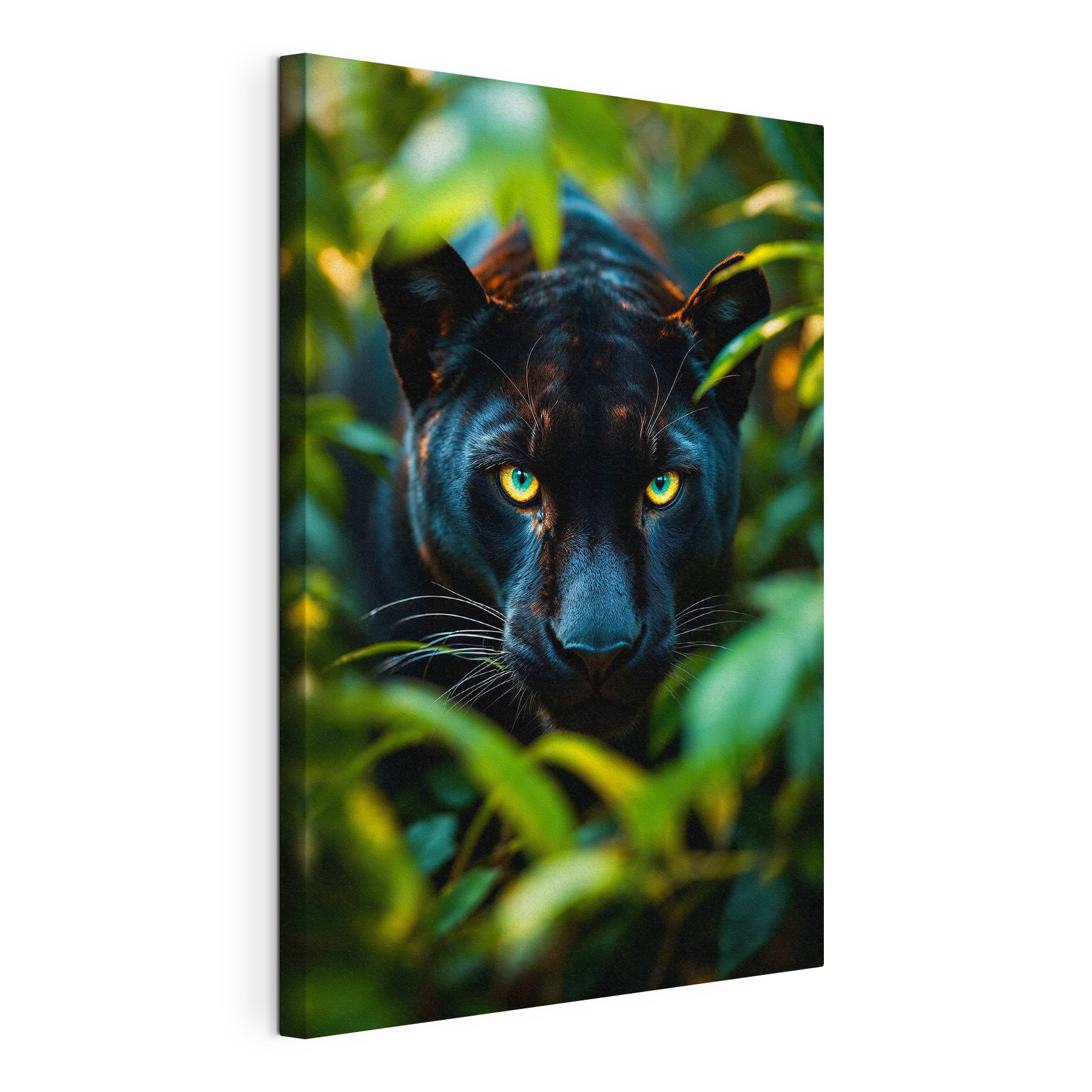 Black panther with green eyes Black panther with green eyes