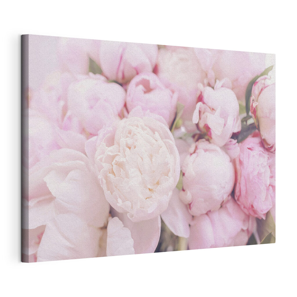 A group of pink flowers