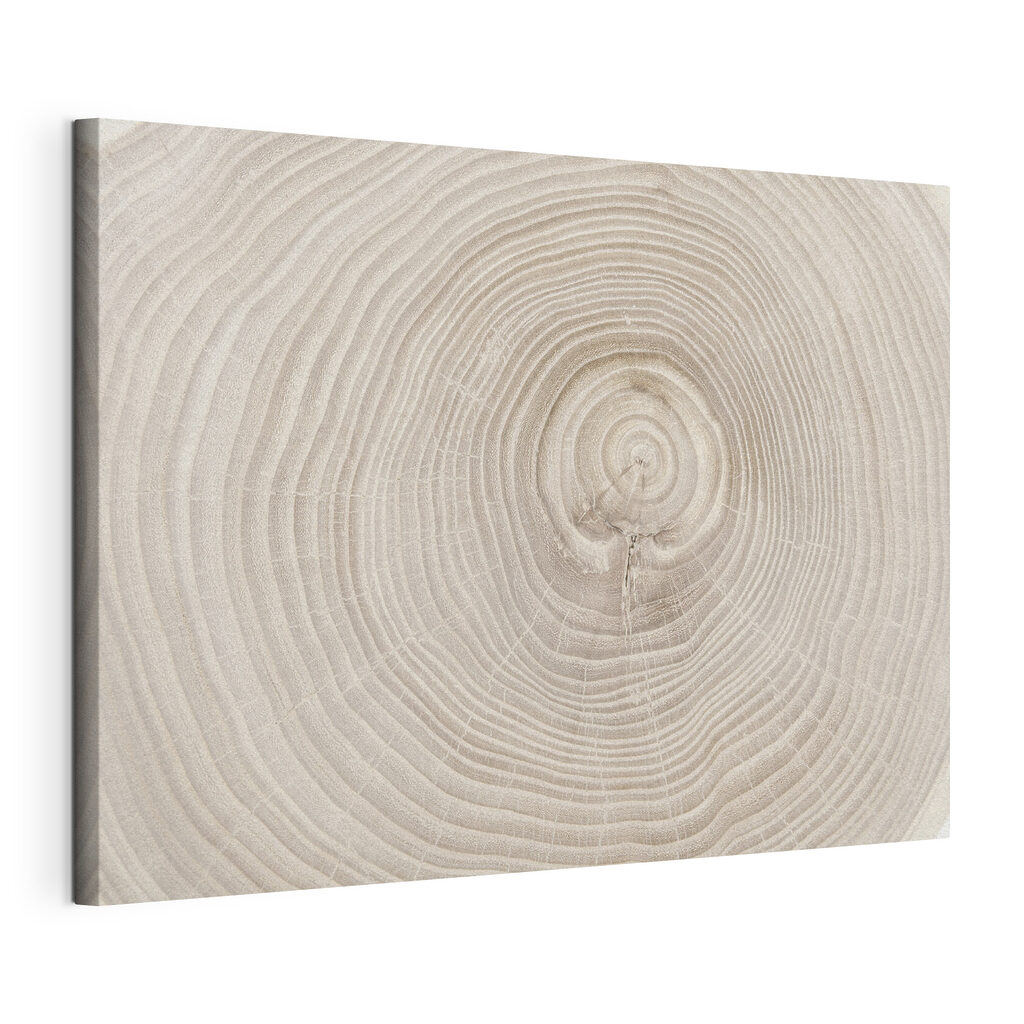 A close up of a tree trunk