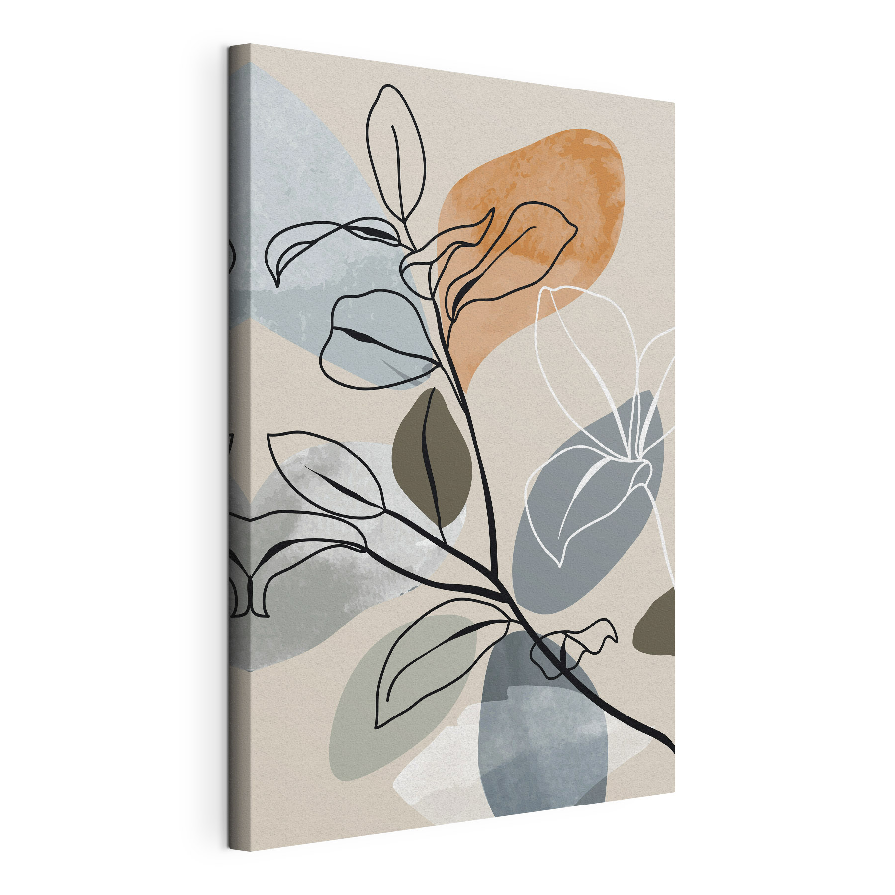 A drawing of a plant