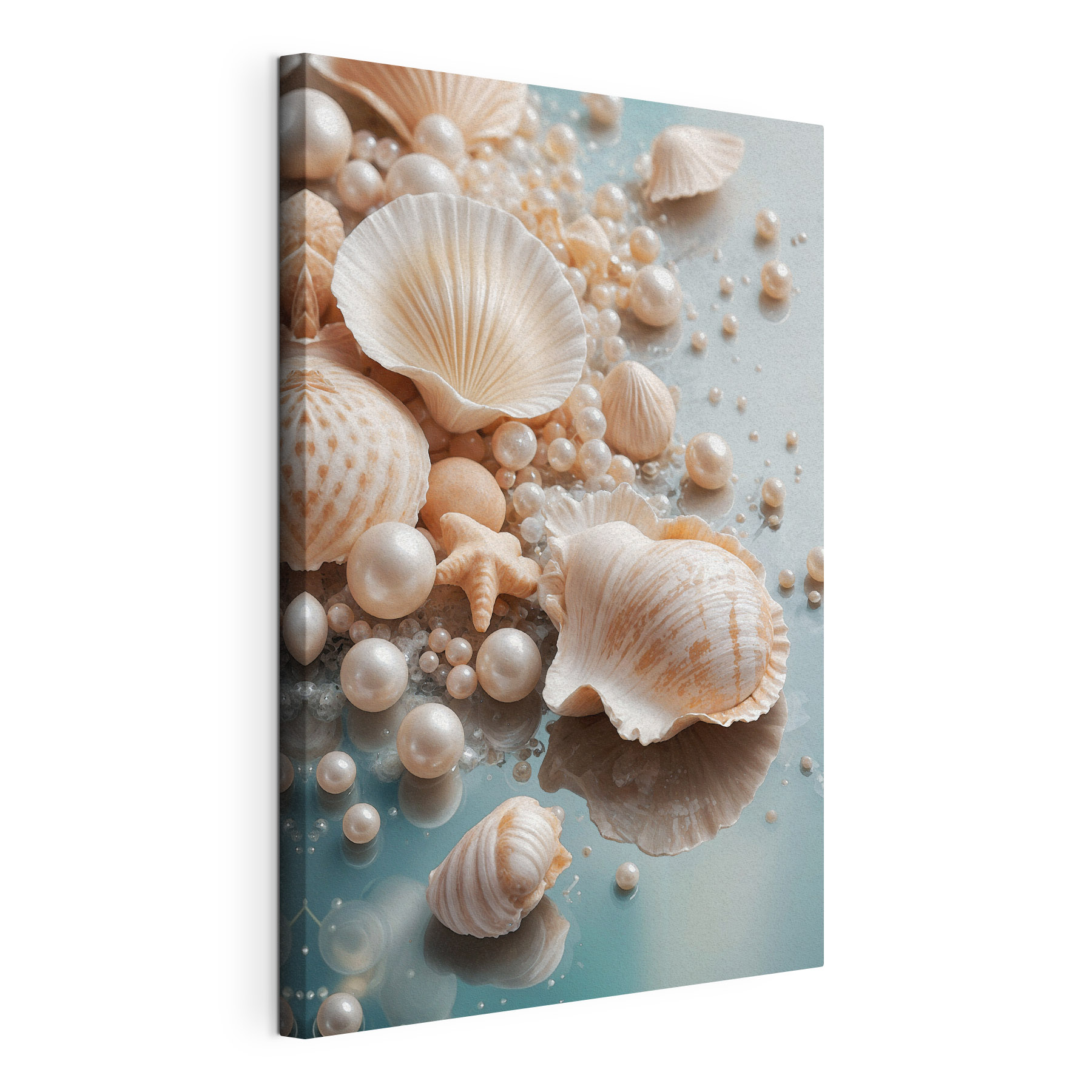 Naturally beautiful beach treasures displayed Naturally beautiful beach treasures displayed