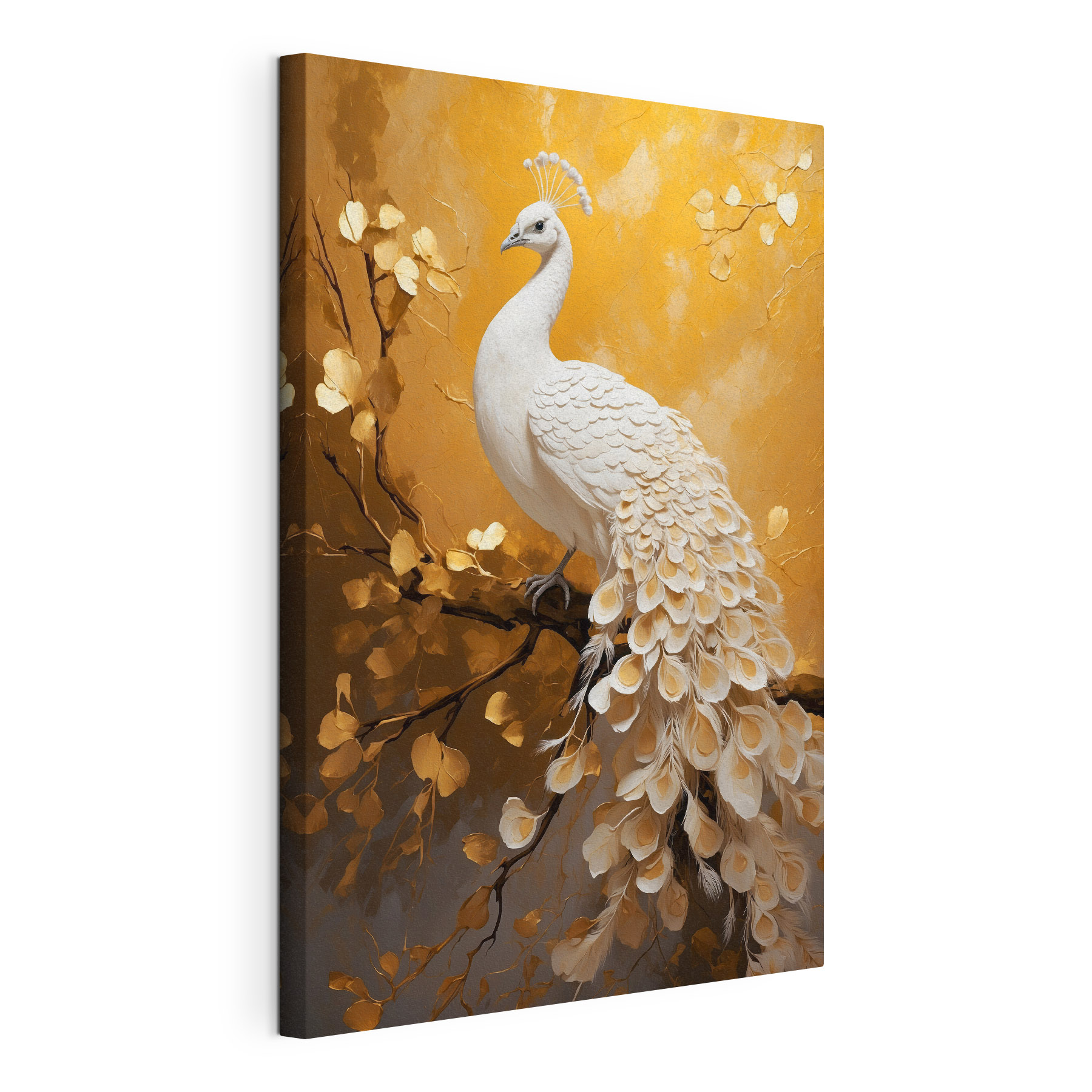 White peacock with feathers on a branch White peacock with feathers on a branch
