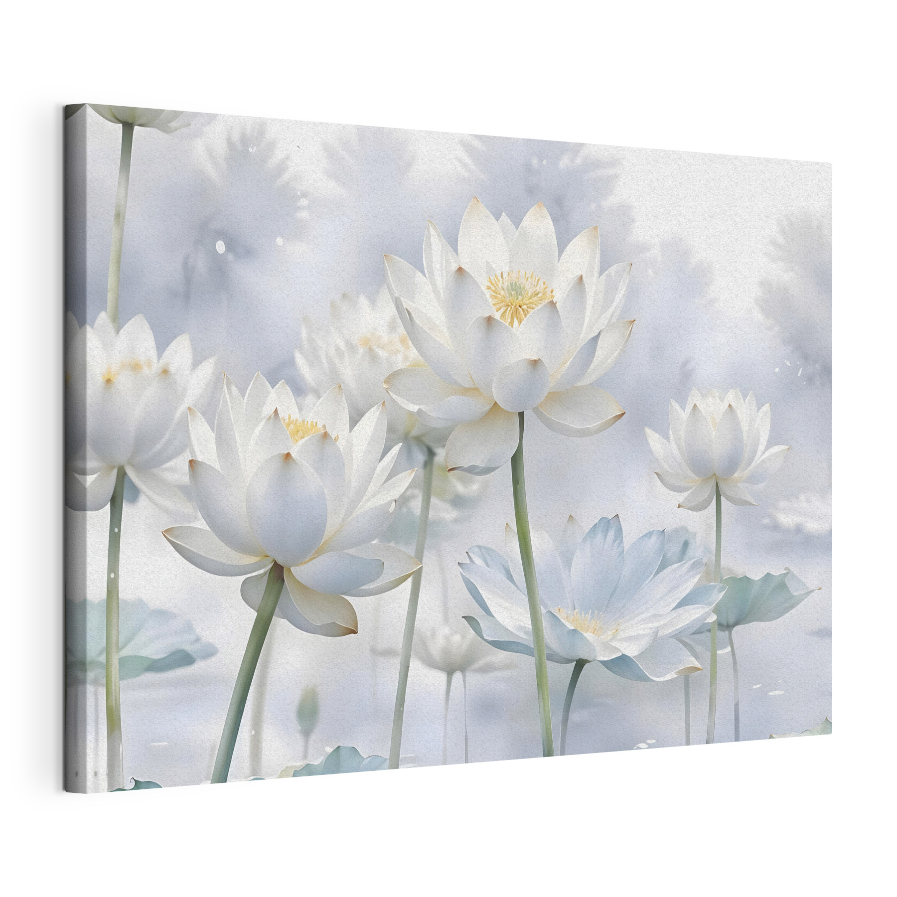 Group of white flowers