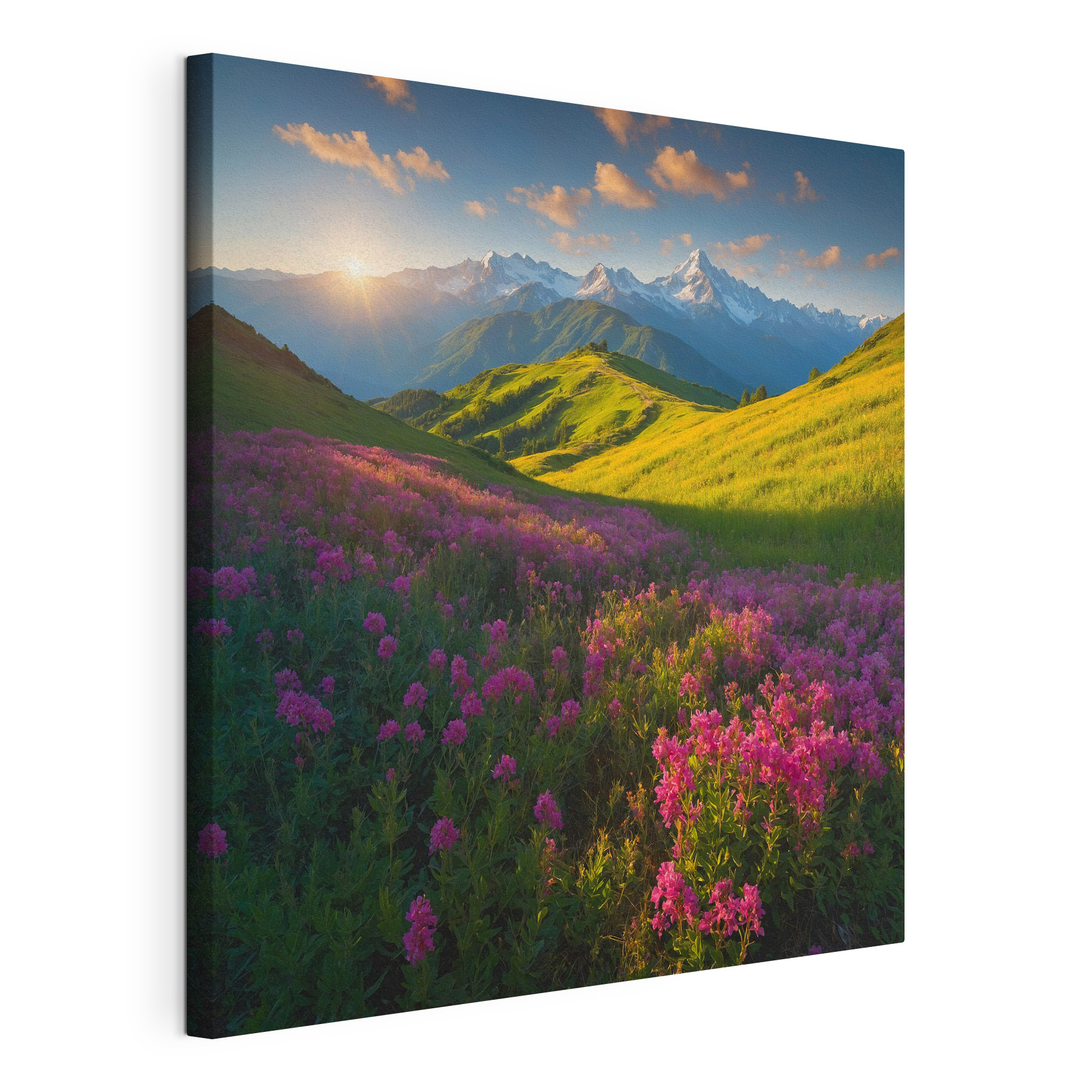 Field of flowers with mountains in the background