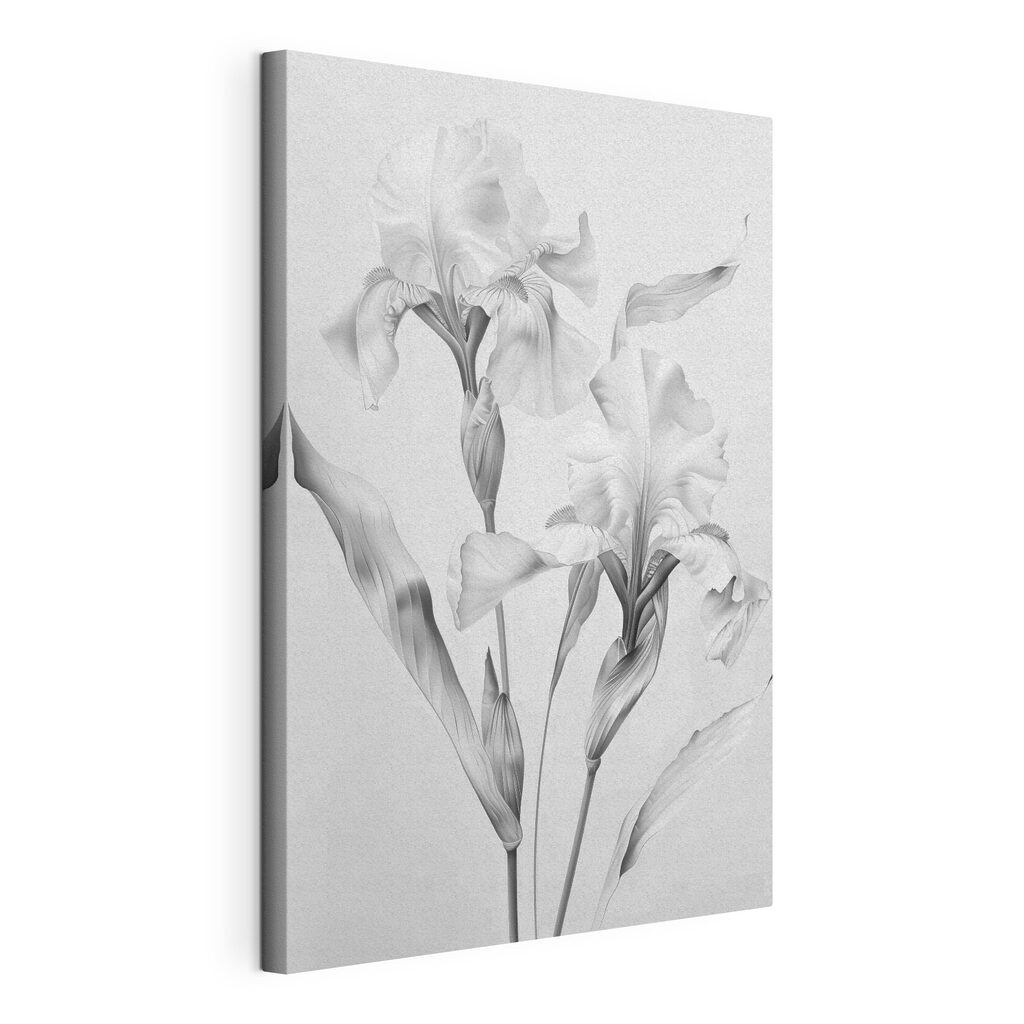 Delicate petals in soft monochrome hues Delicate petals in soft monochrome hues