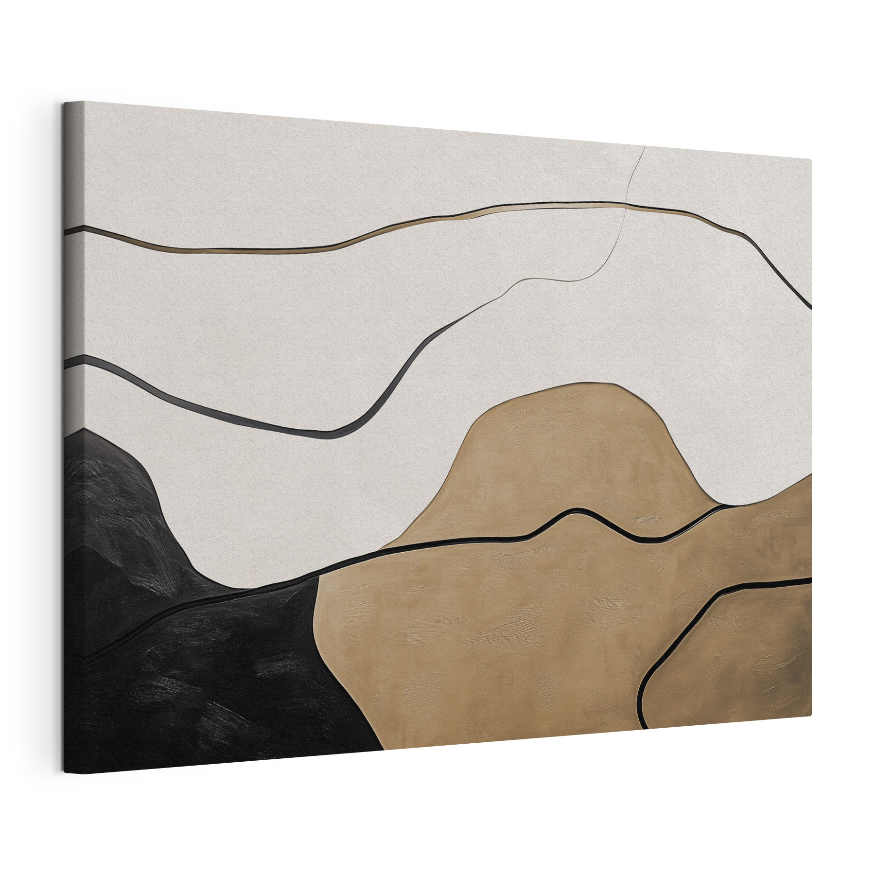 Black and white and brown lines