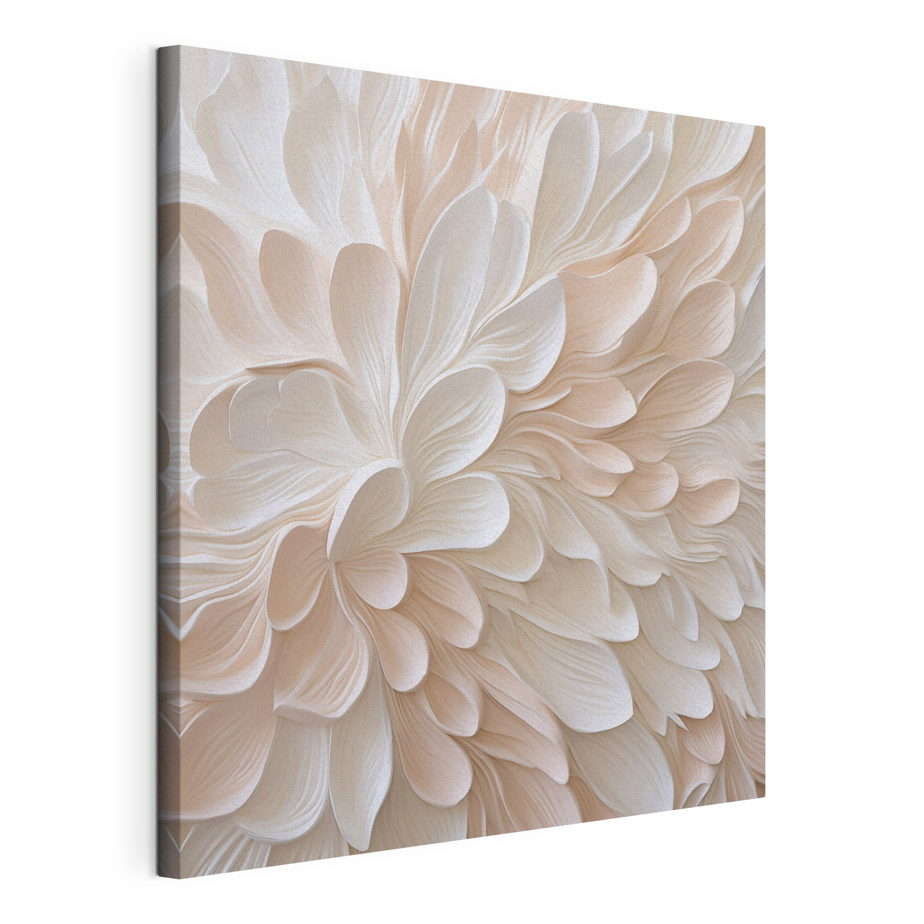 White and pink flower petals
