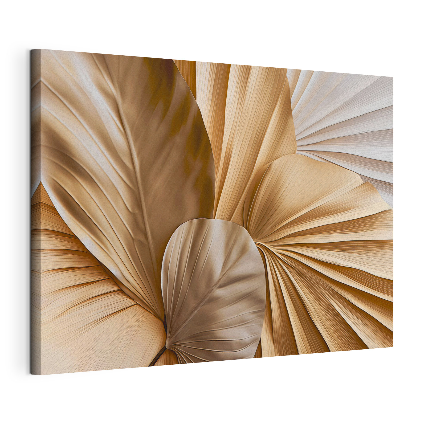 - Elegant layers of natural forms - Elegant layers of natural forms