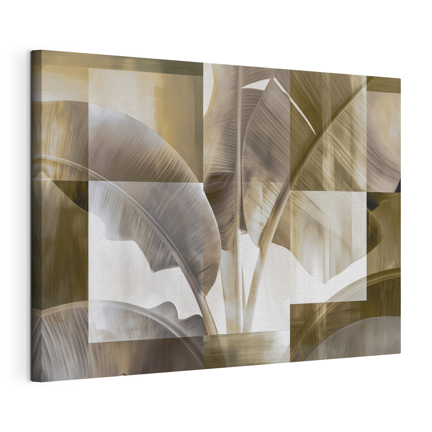 Soft hues of nature's design