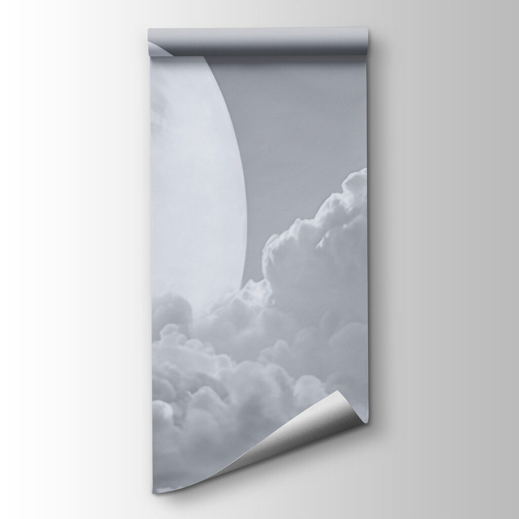 Full moon in the sky Full moon in the sky