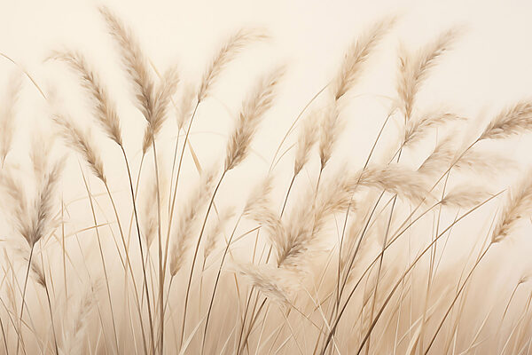 Gentle breeze through tall grasses