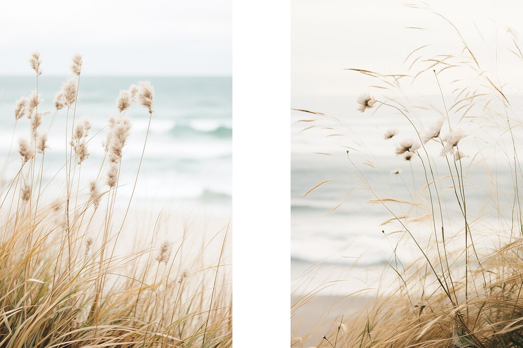 Gentle breeze over coastal grass Gentle breeze over coastal grass