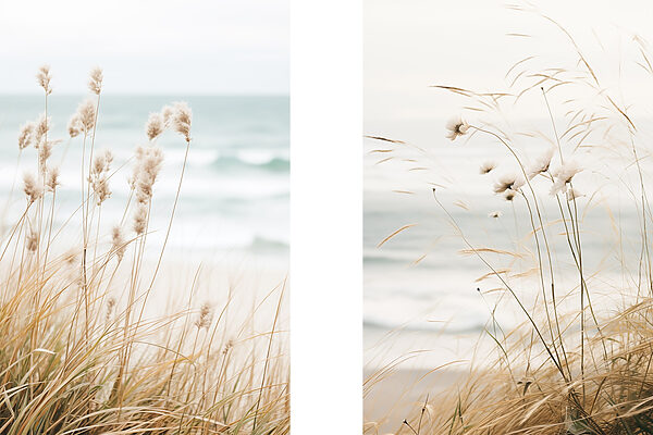 Gentle breeze over coastal grass Gentle breeze over coastal grass