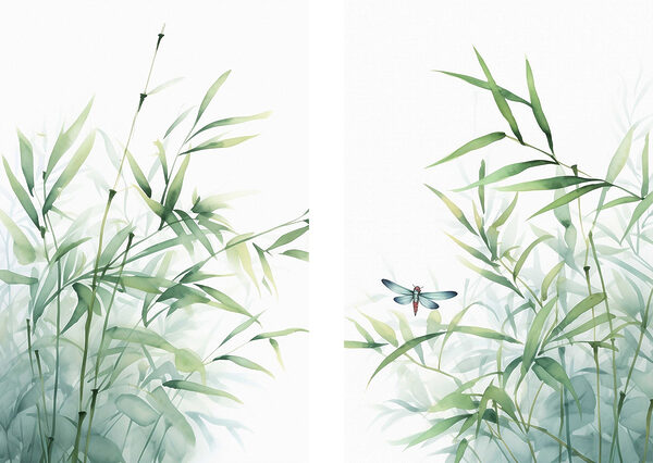 Dragonfly on a plant