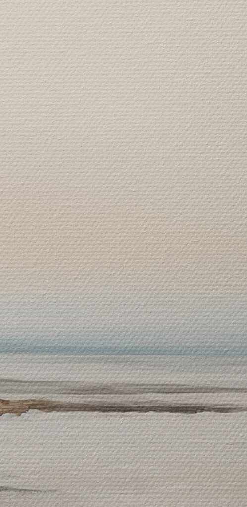 Bird flying over a beach
