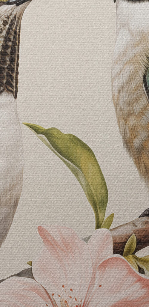 Two birds on a branch with flowers Two birds on a branch with flowers